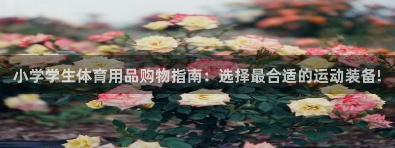 小学学生体育用品购物指南：选择最合适的运动装备!