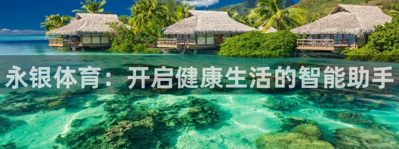 永银体育：开启健康生活的智能助手