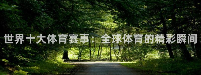 世界十大体育赛事：全球体育的精彩瞬间